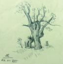 Самотно дърво - Zlatiu Boiadjiev