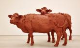 Stephanie Quayle, Two Cows 2013