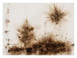 Cai Guo Qiang Small Pine tree