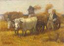 Събиране на сено - Radomir Mandov